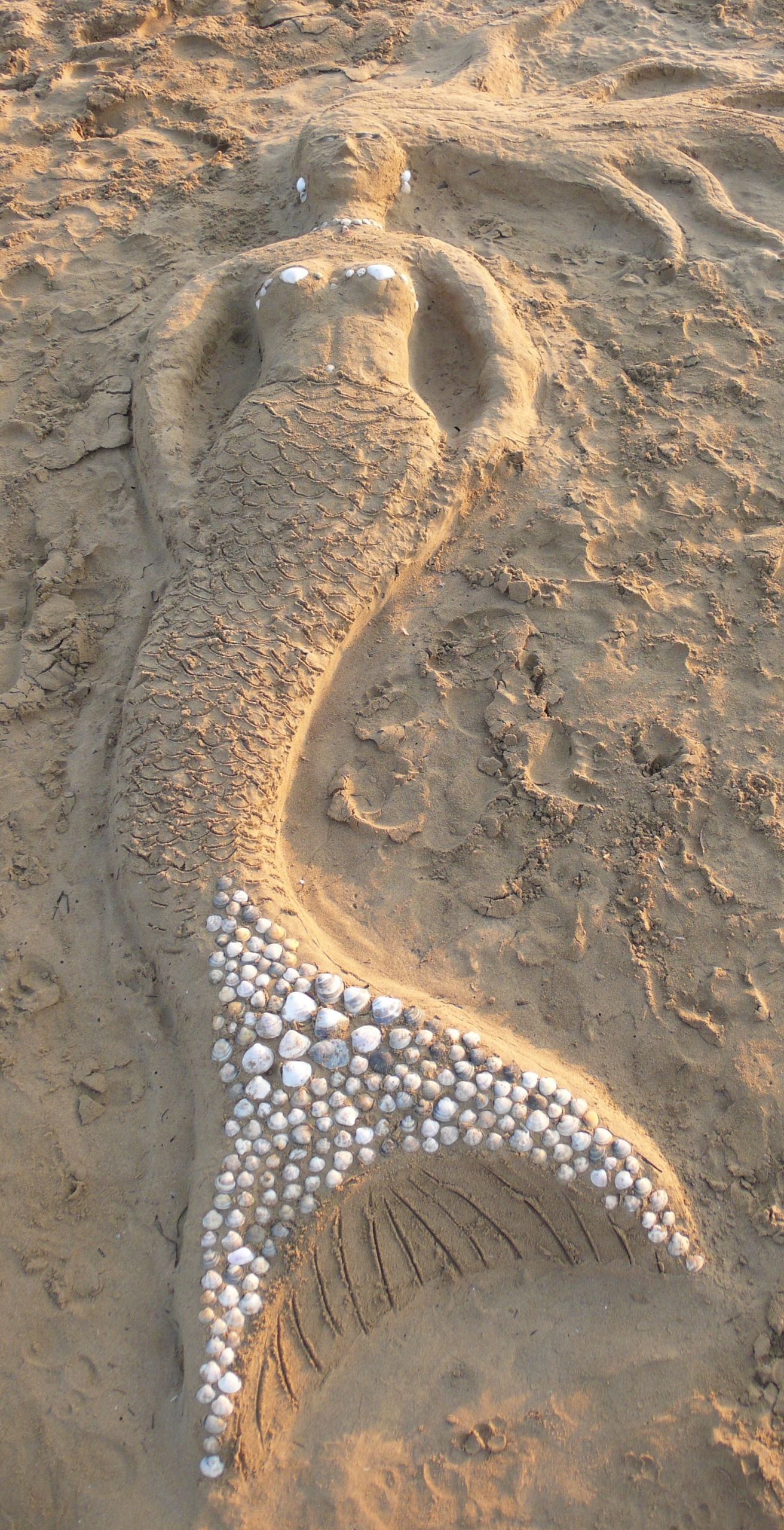 Bibione sahili