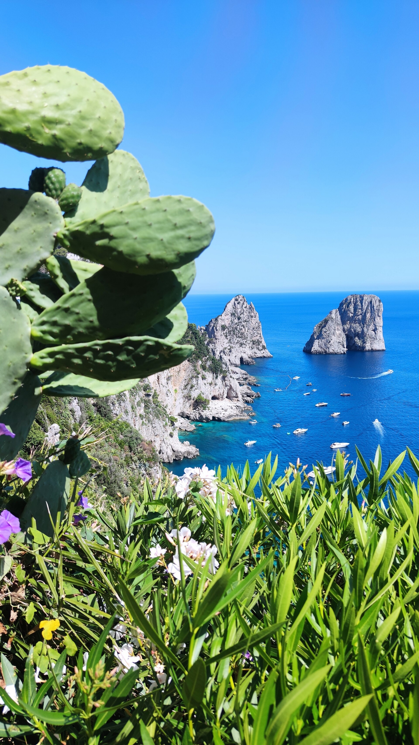 Capri Faraglioni kayalıkları