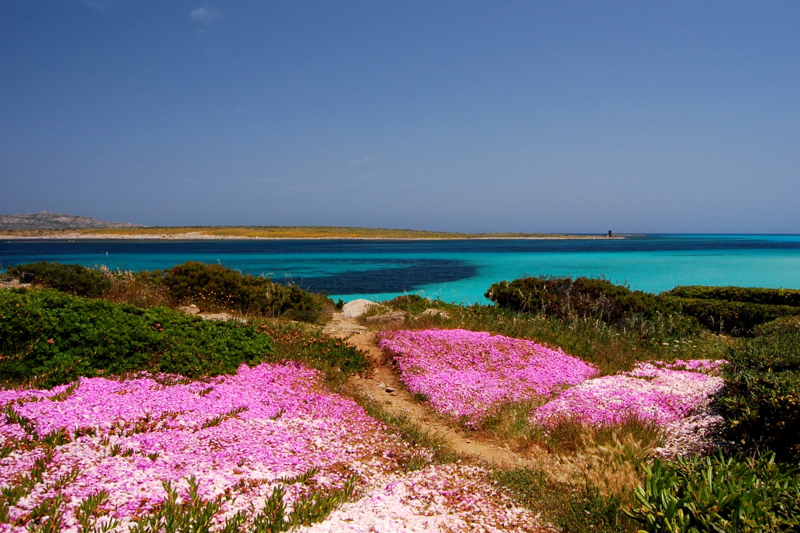 Asinara manzarası