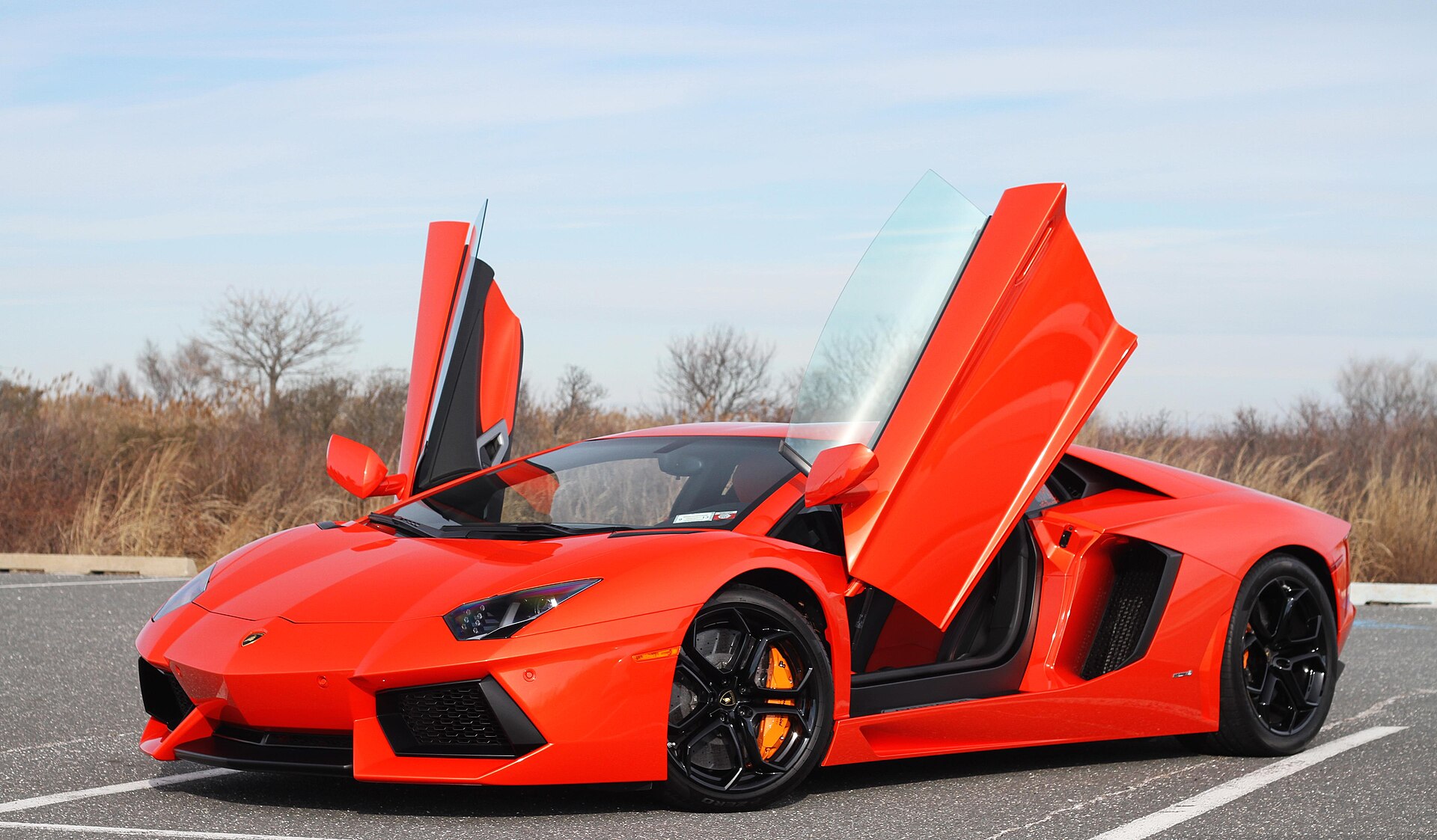 Lamborghini Aventador, kama gövde