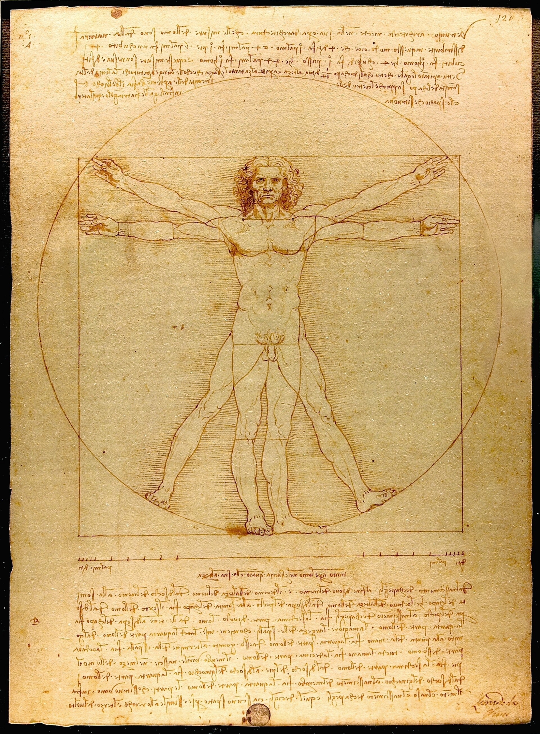 Leonardo da Vinci'nin Vitruvian Adam çizimi
