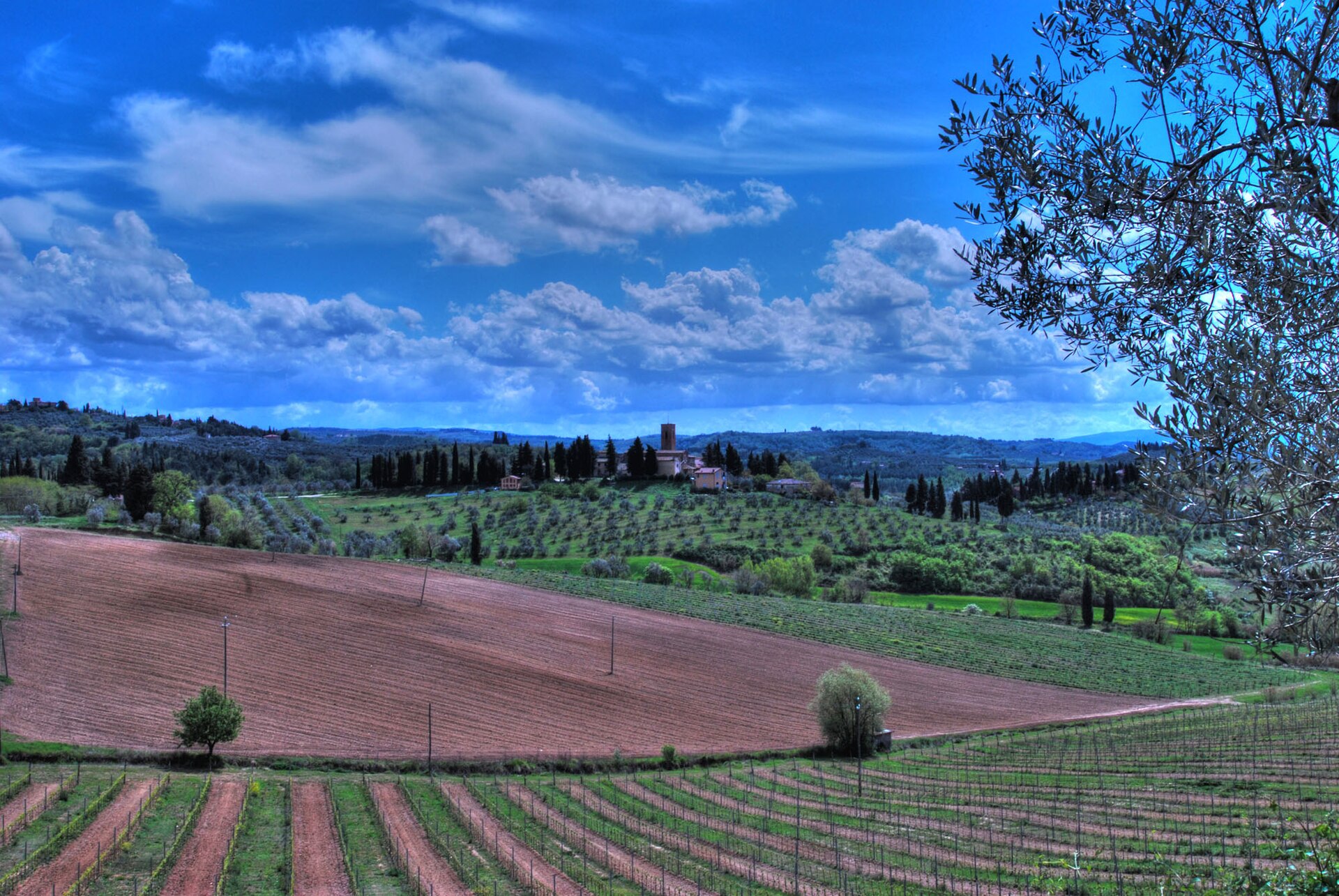 Chianti Classico bağları, Toskana