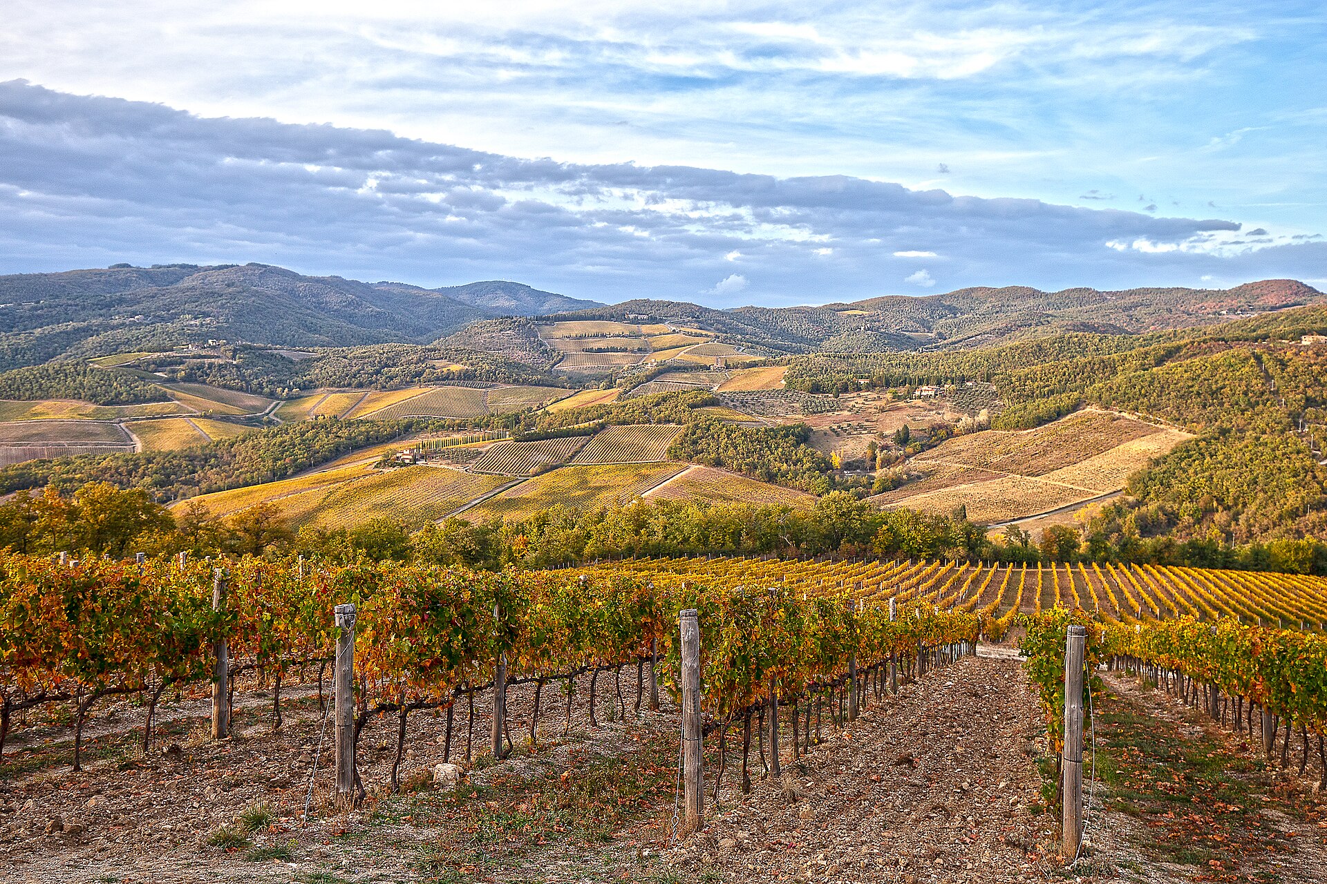 Barolo bölgesi, Piemonte