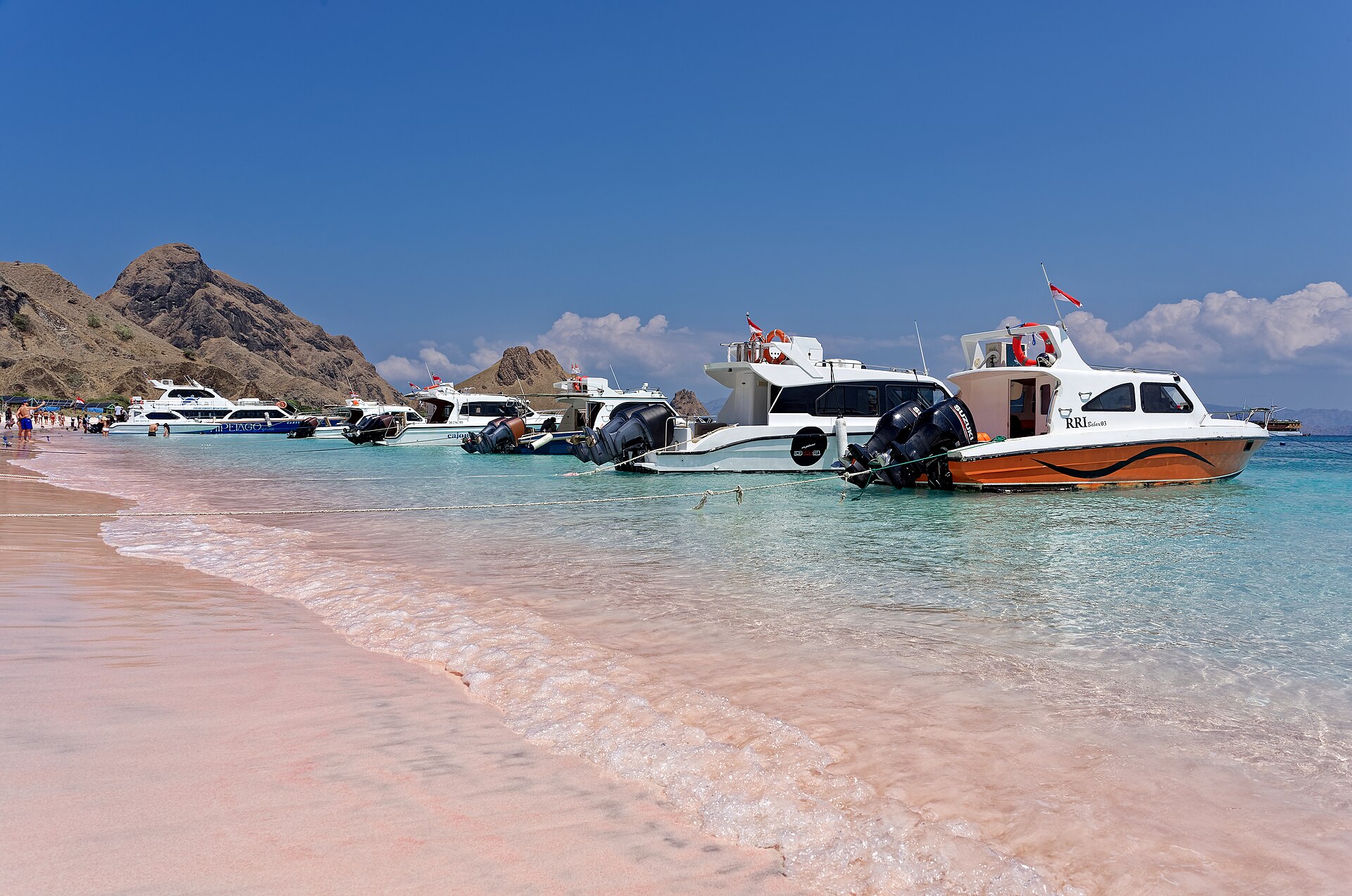 Sardinya turkuaz deniz