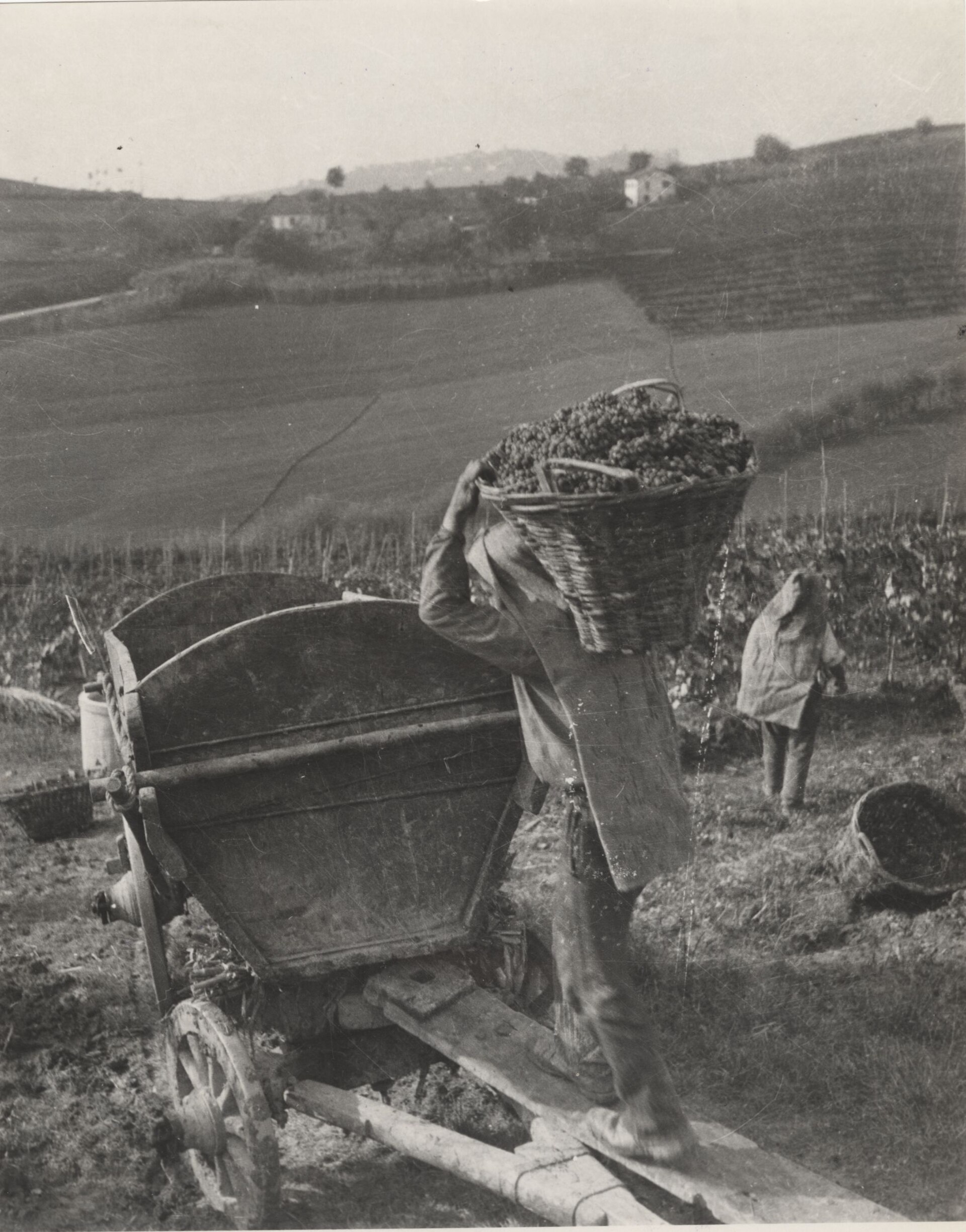 Langhe bağ