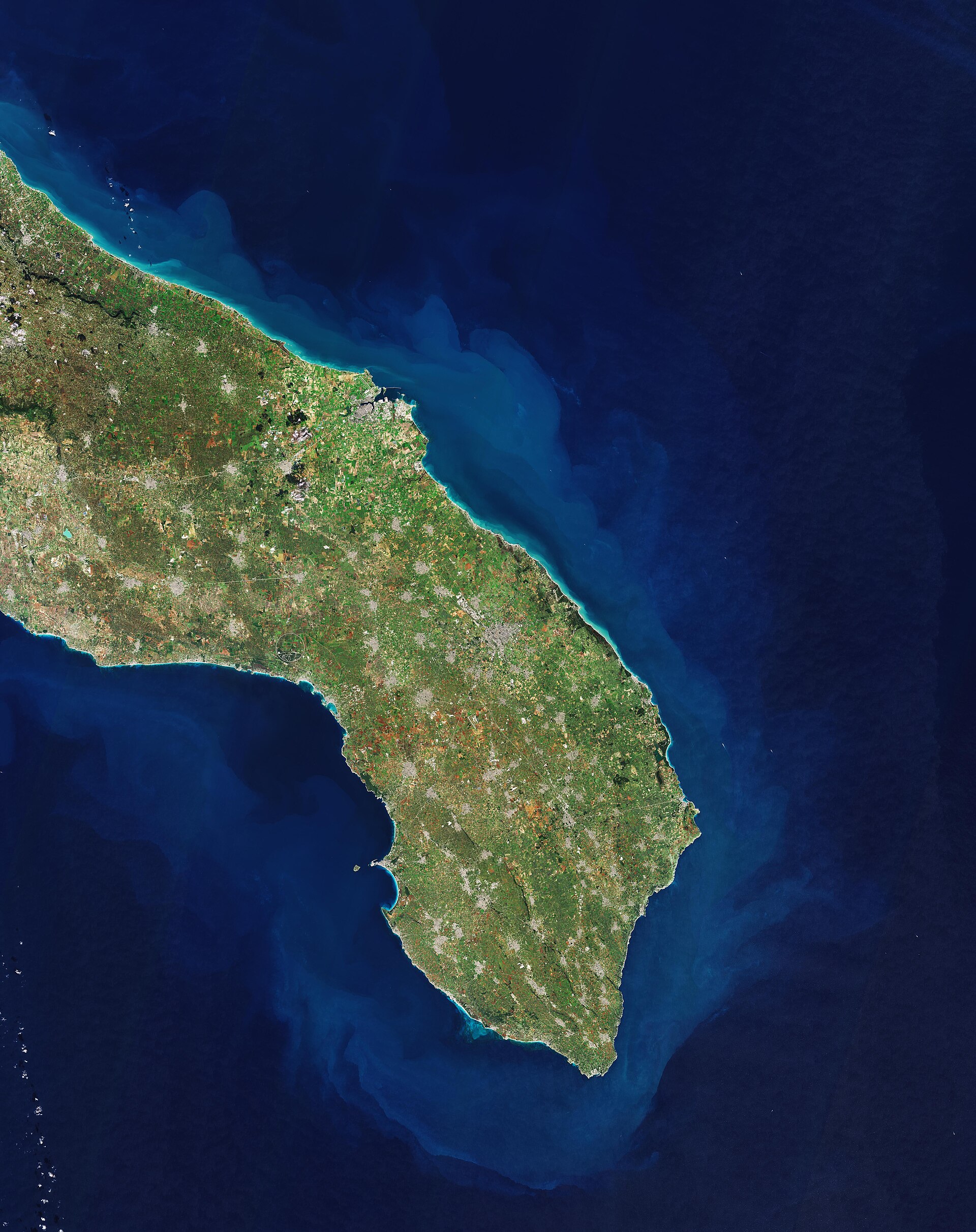 Gallipoli ada