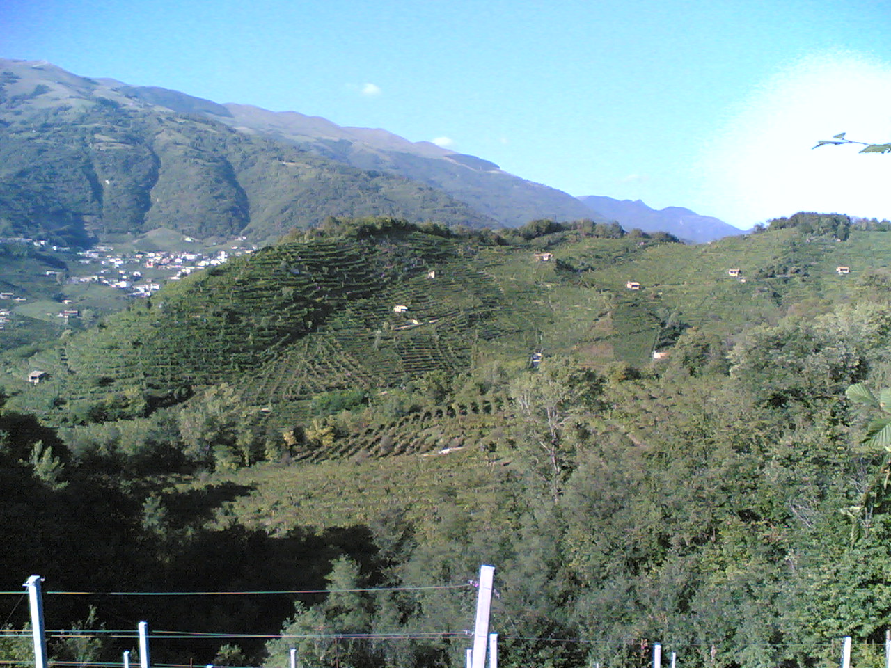 Valdobbiadene bağ