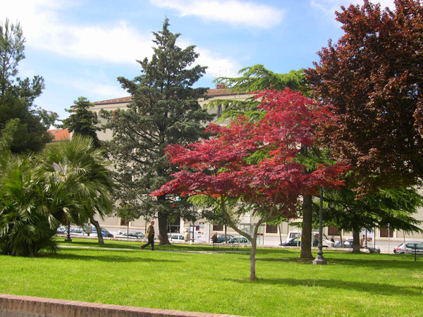 Campobasso Castello Monforte