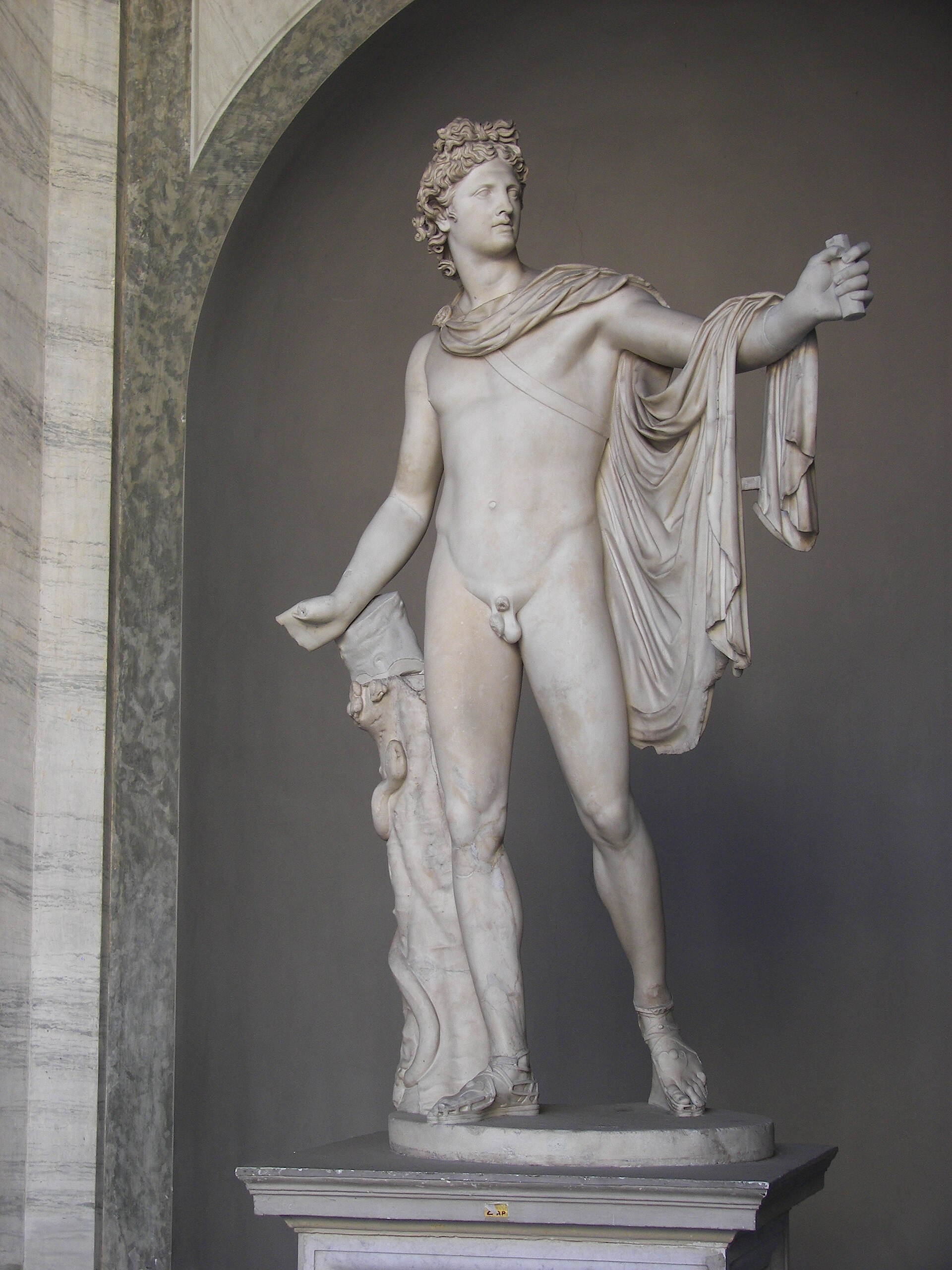 Apollo Belvedere, Pio-Clementino